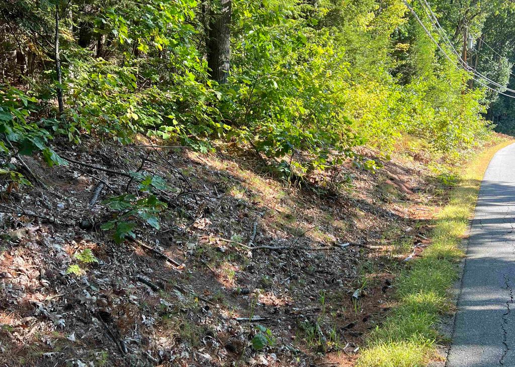 Photo of Pine Street, Hopkinton, NH 03229 (MLS # 5061613)