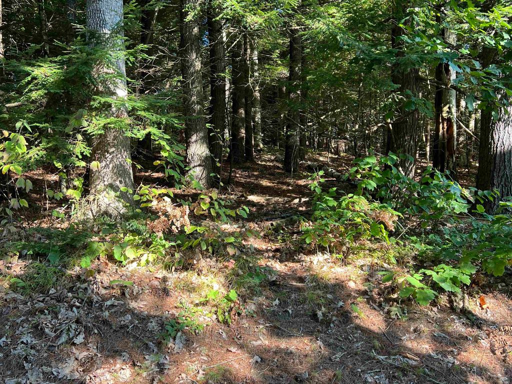 Photo of Pine Street, Hopkinton, NH 03229 (MLS # 5061613)