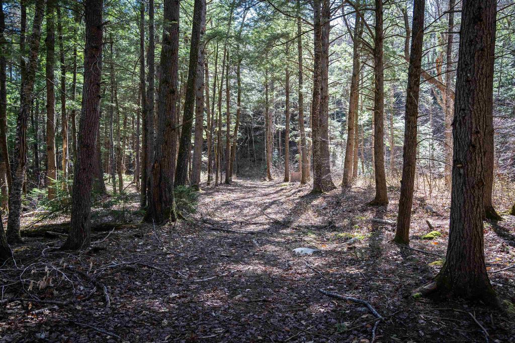 Photo of 1 N Dorchester Road, Wentworth, NH 03282 (MLS # 5086383)
