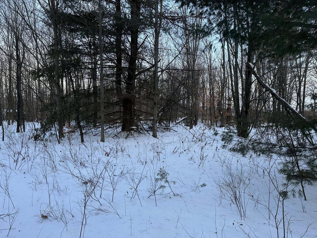 0 Belle Vista Road Lot 7