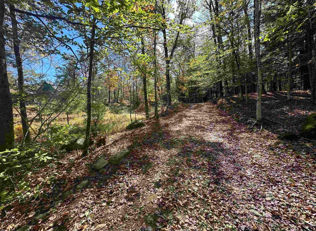 Photo of 850 North Road, Sutton, NH 03278 (MLS # 5064079)