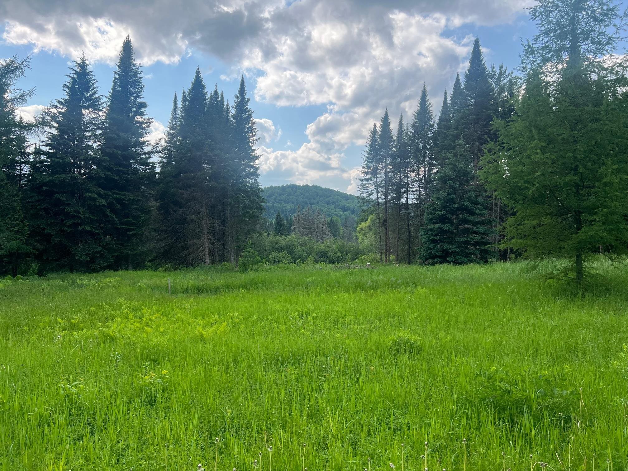 - Indian Stream Road