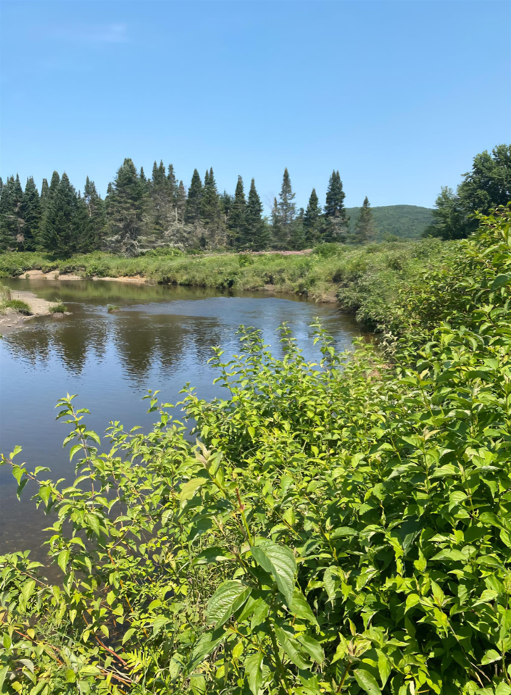 - Indian Stream Road