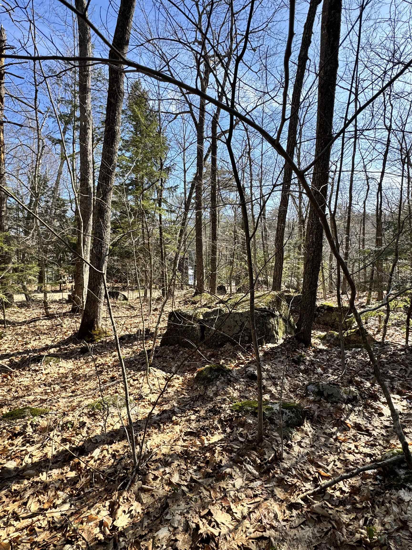 Moultonborough, New Hampshire 03254, United States, ,Land,Active,109013