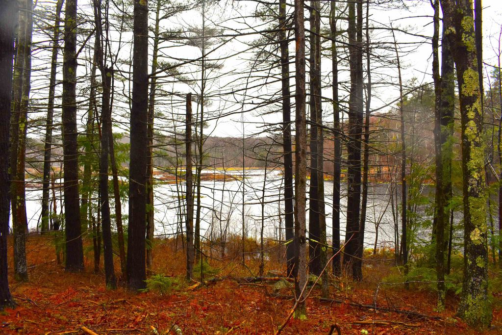 Photo of 00 Windmill Hill Road #Map 3 Lot 62B, Dublin, NH 03444 (MLS # 5039180)