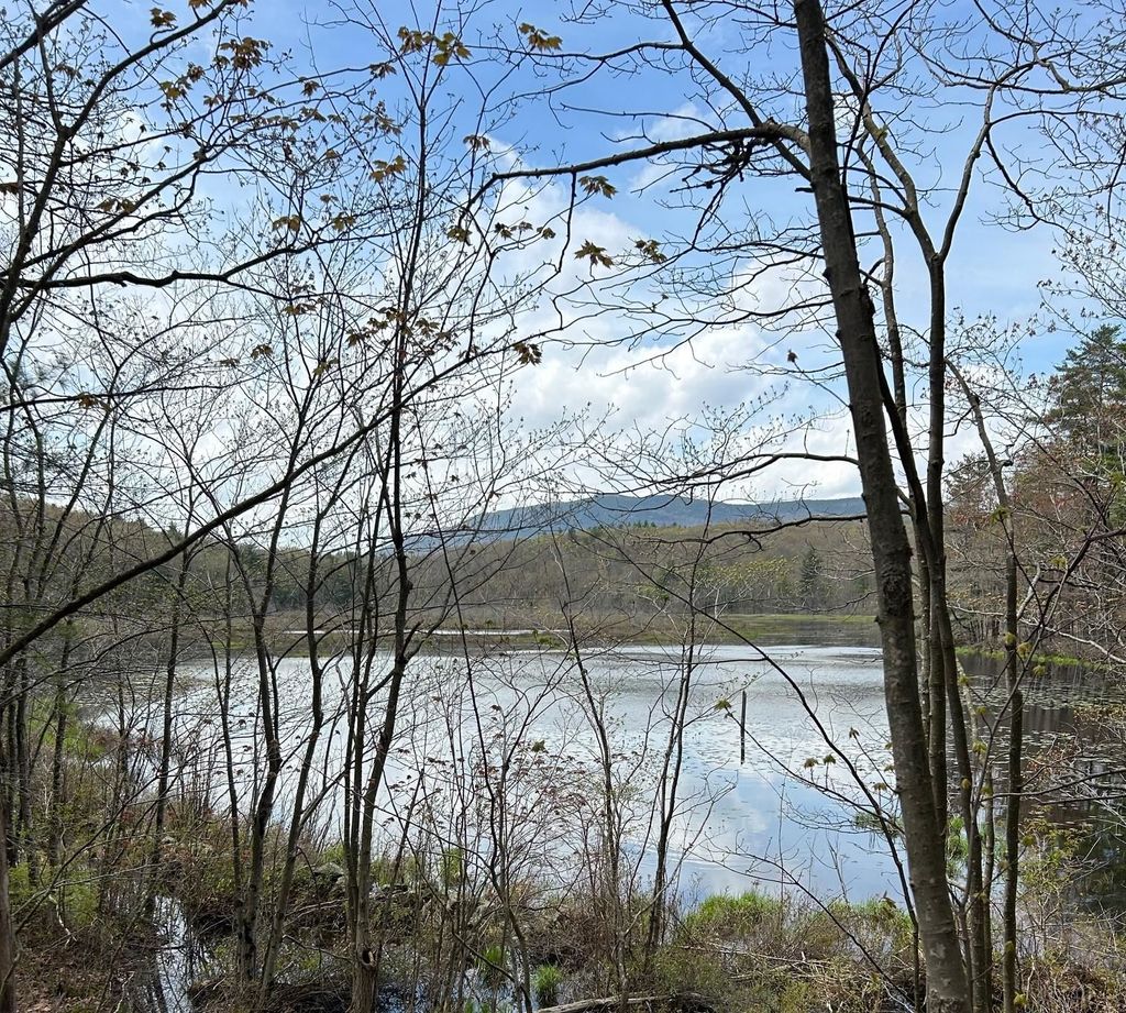 Photo of 00 Windmill Hill Road #Map 3 Lot 62B, Dublin, NH 03444 (MLS # 5039180)