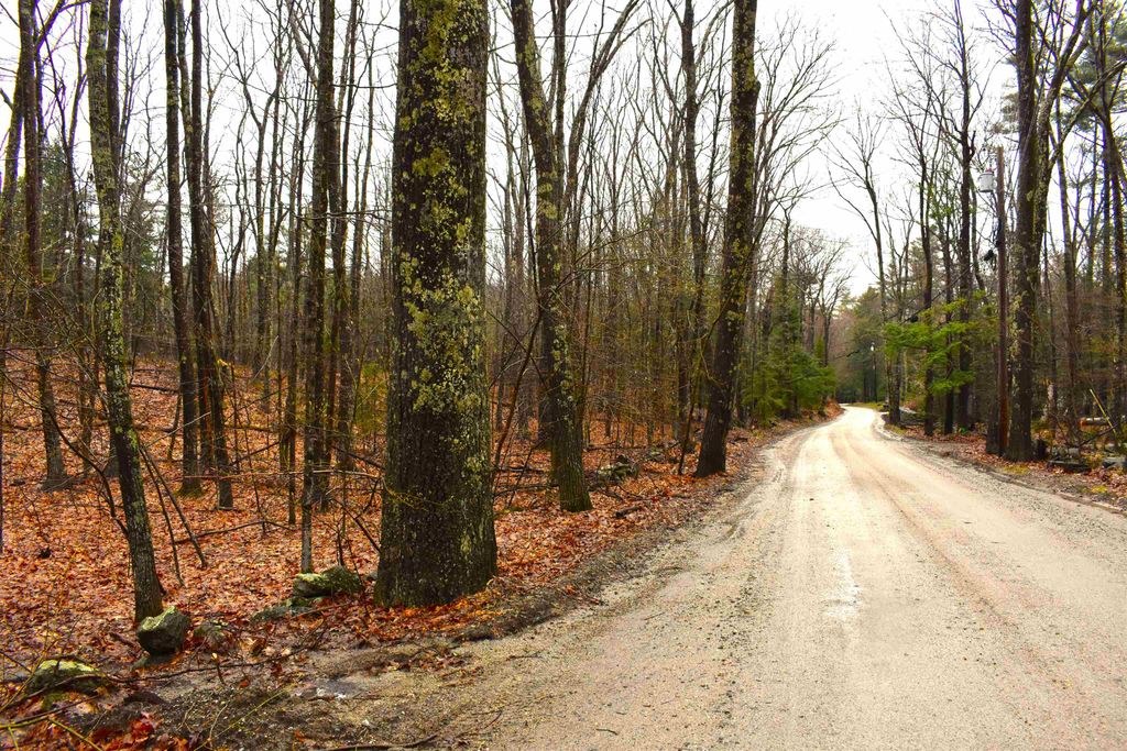 Photo of 00 Windmill Hill Road #Map 3 Lot 62B, Dublin, NH 03444 (MLS # 5039180)