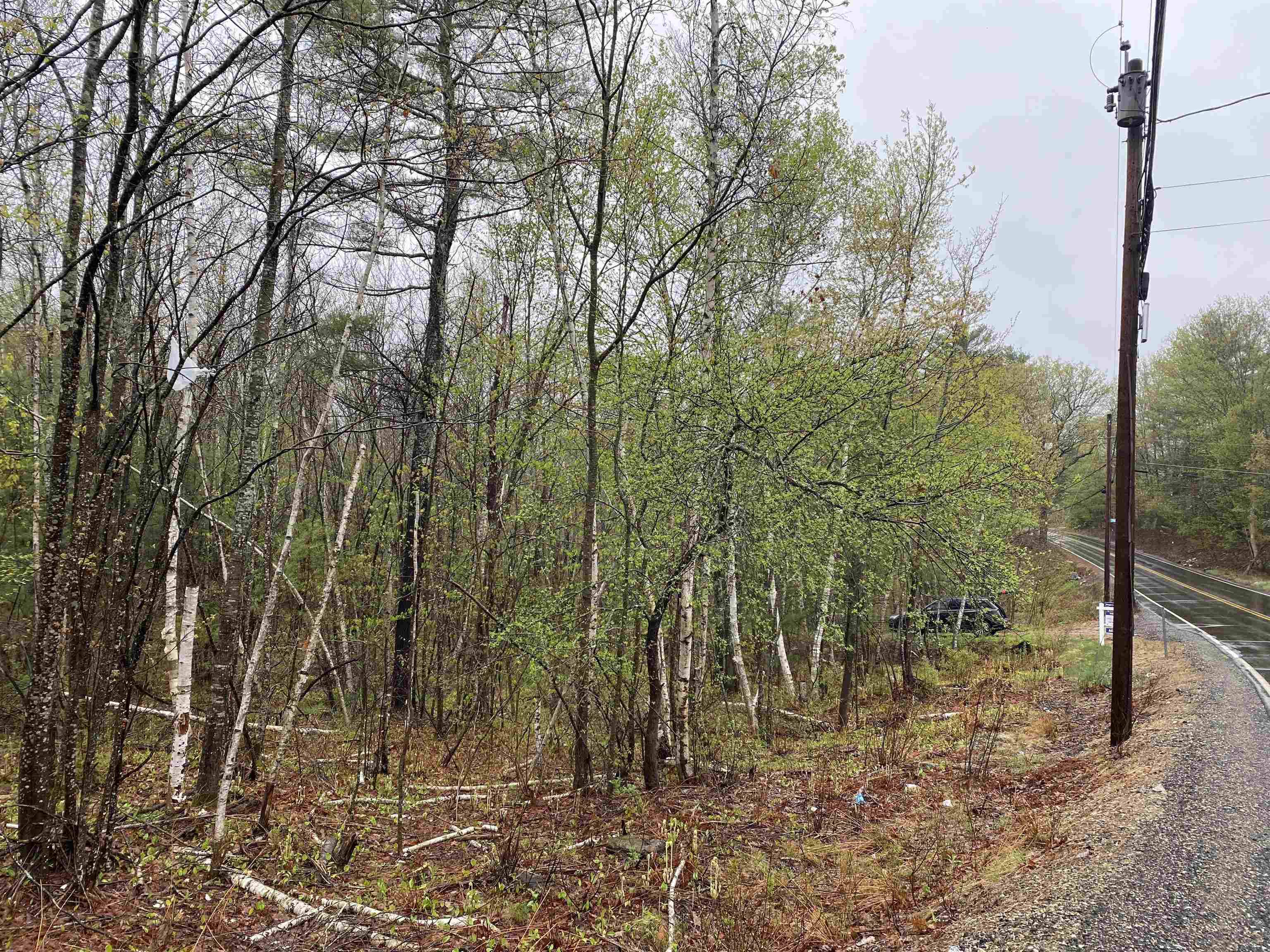 Catamount Road