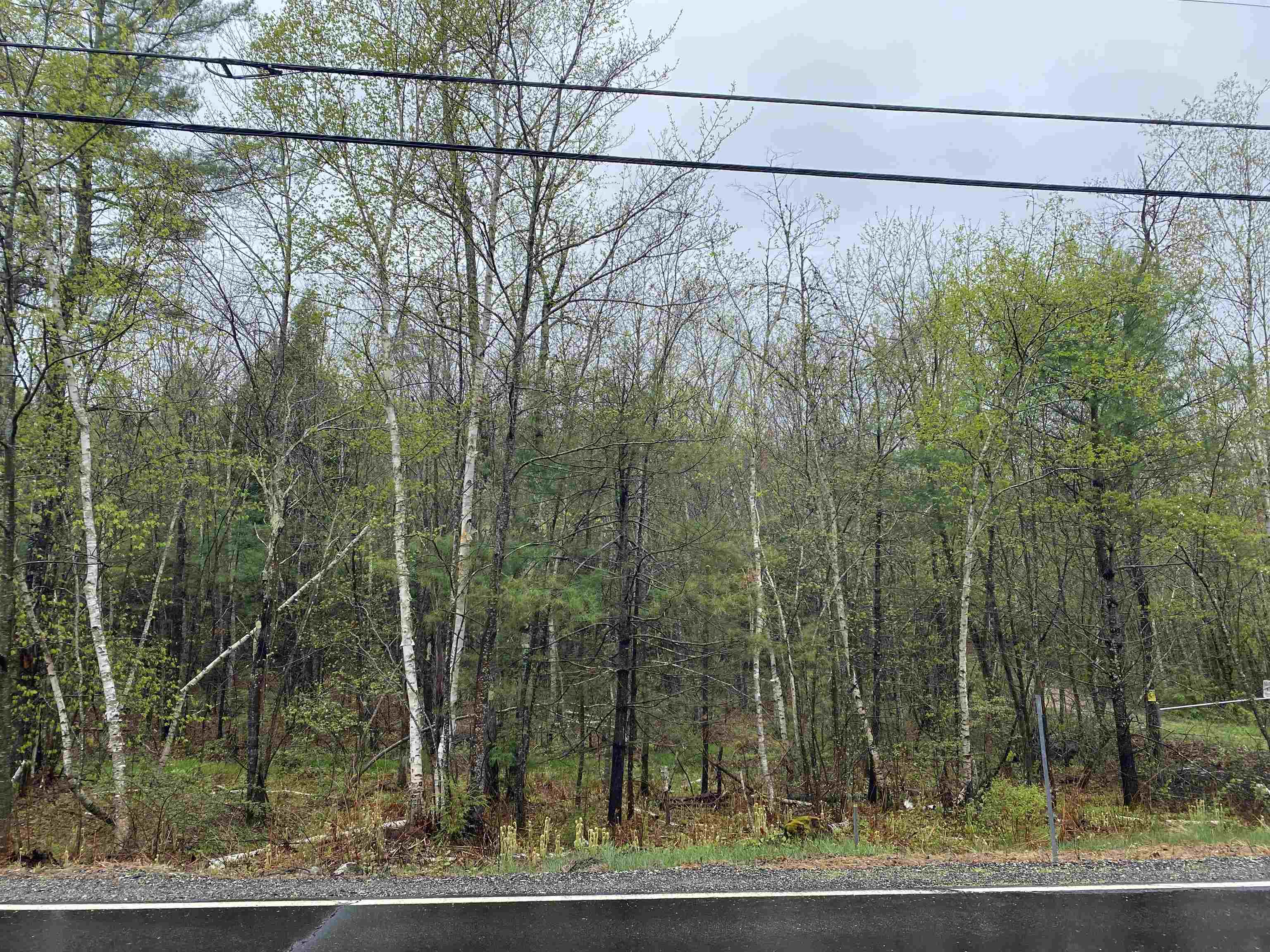 Catamount Road