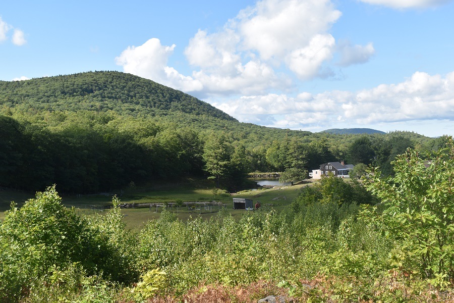 345 Deer Valley Road