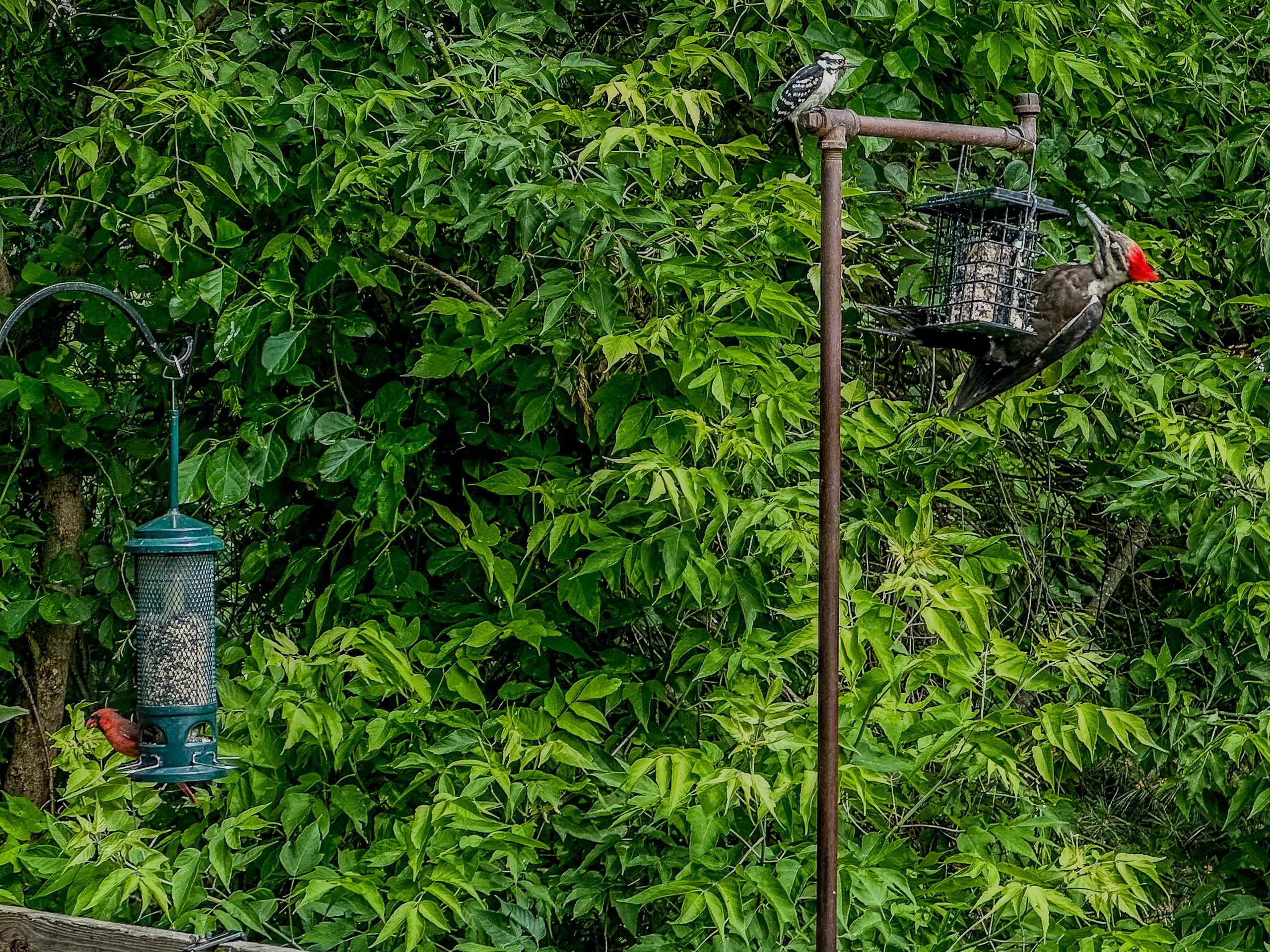 Colchester, Vermont 05446, United States, 4 Bedrooms Bedrooms, ,3 BathroomsBathrooms,Residential,Active,160041