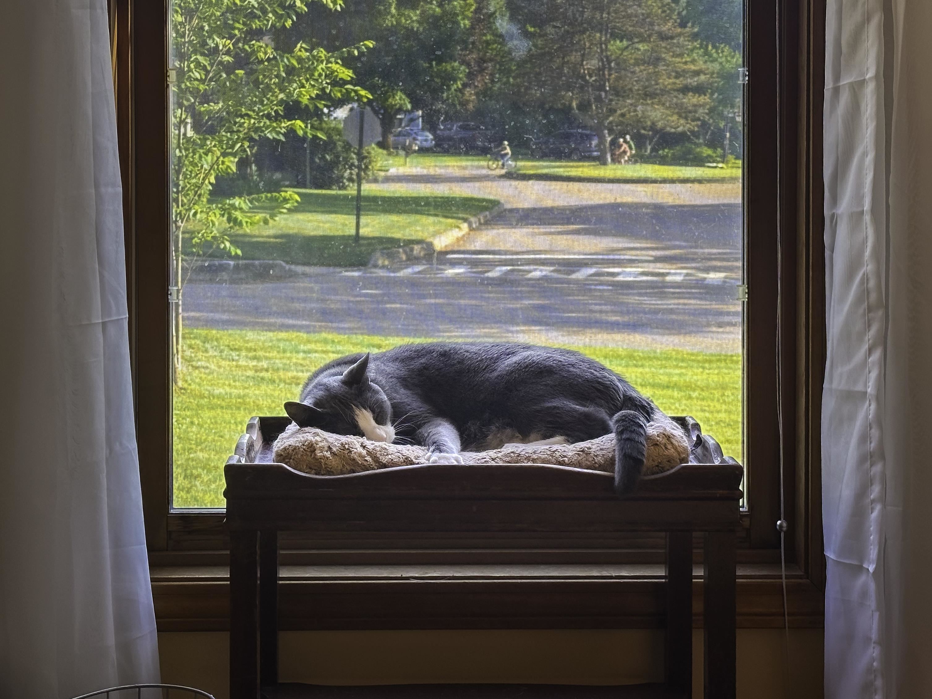 Colchester, Vermont 05446, United States, 4 Bedrooms Bedrooms, ,3 BathroomsBathrooms,Residential,Active,160041