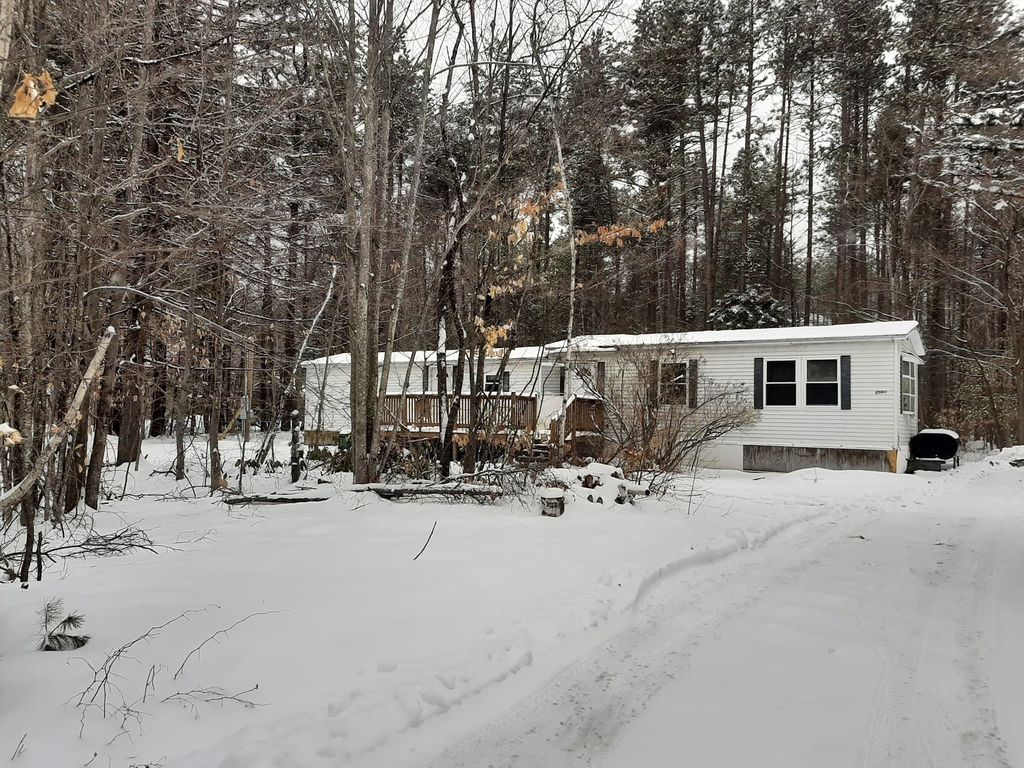 Photo of 1512 Passaconaway Road, Albany, NH 03818 (MLS # 5089934)