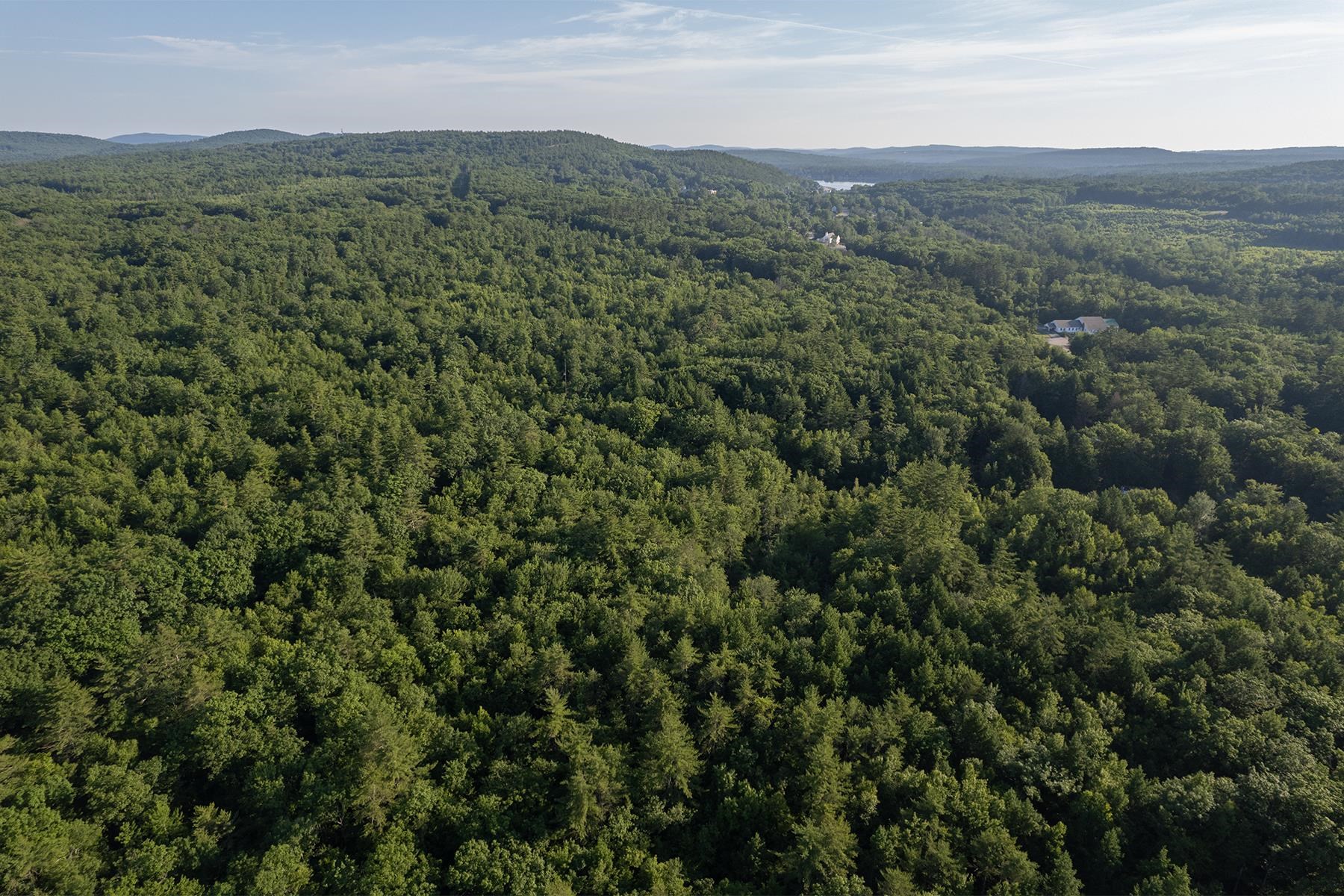 327 White Mountain Highway