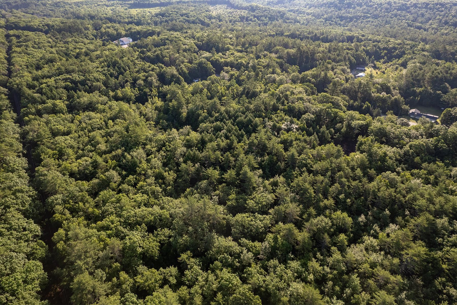 327 White Mountain Highway