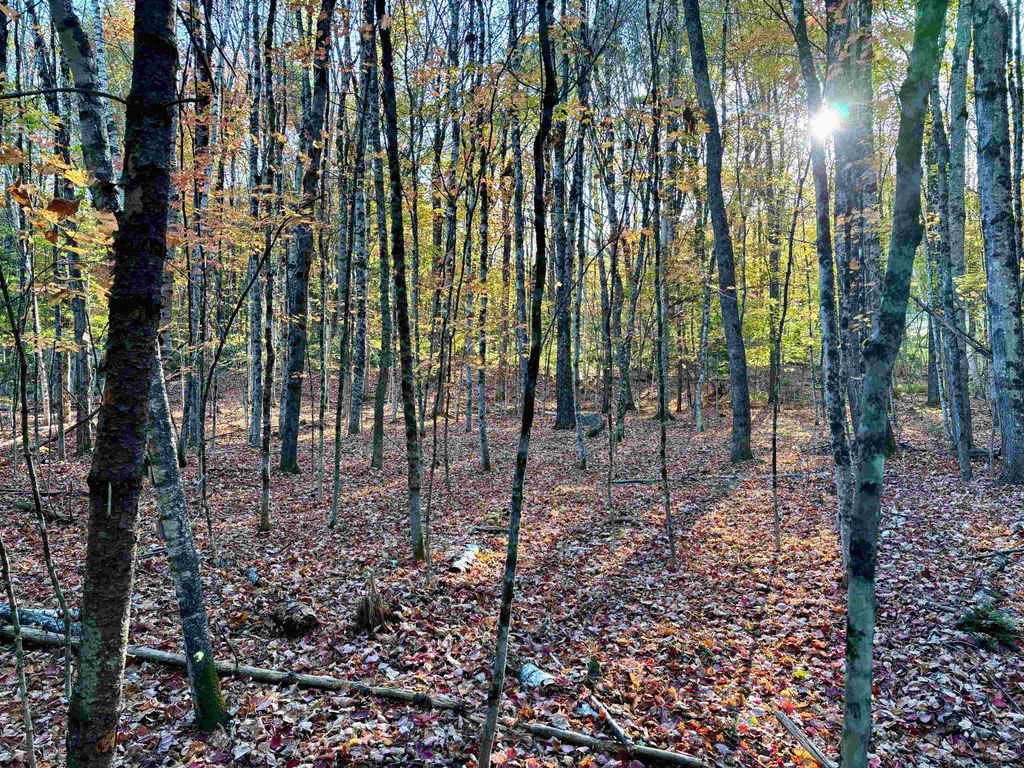 Photo of 000 North Road, Warner, NH 03278 (MLS # 5065577)