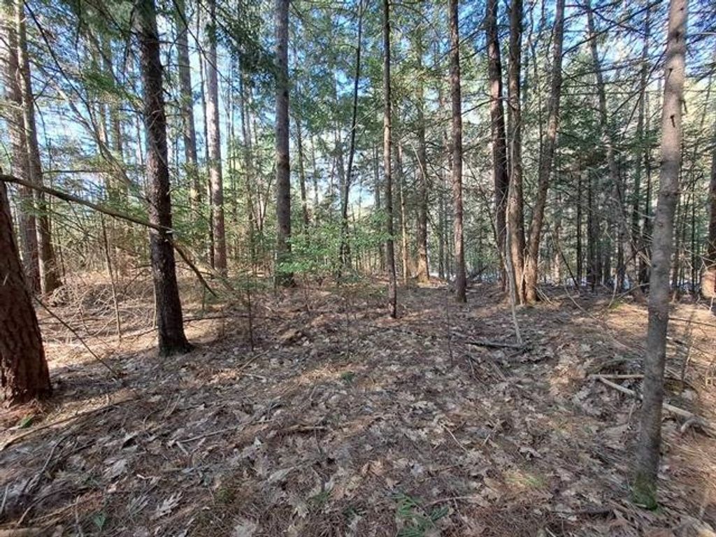 Photo of 19 Beacon Hill Road, Thornton, NH 03223 (MLS # 5088009)
