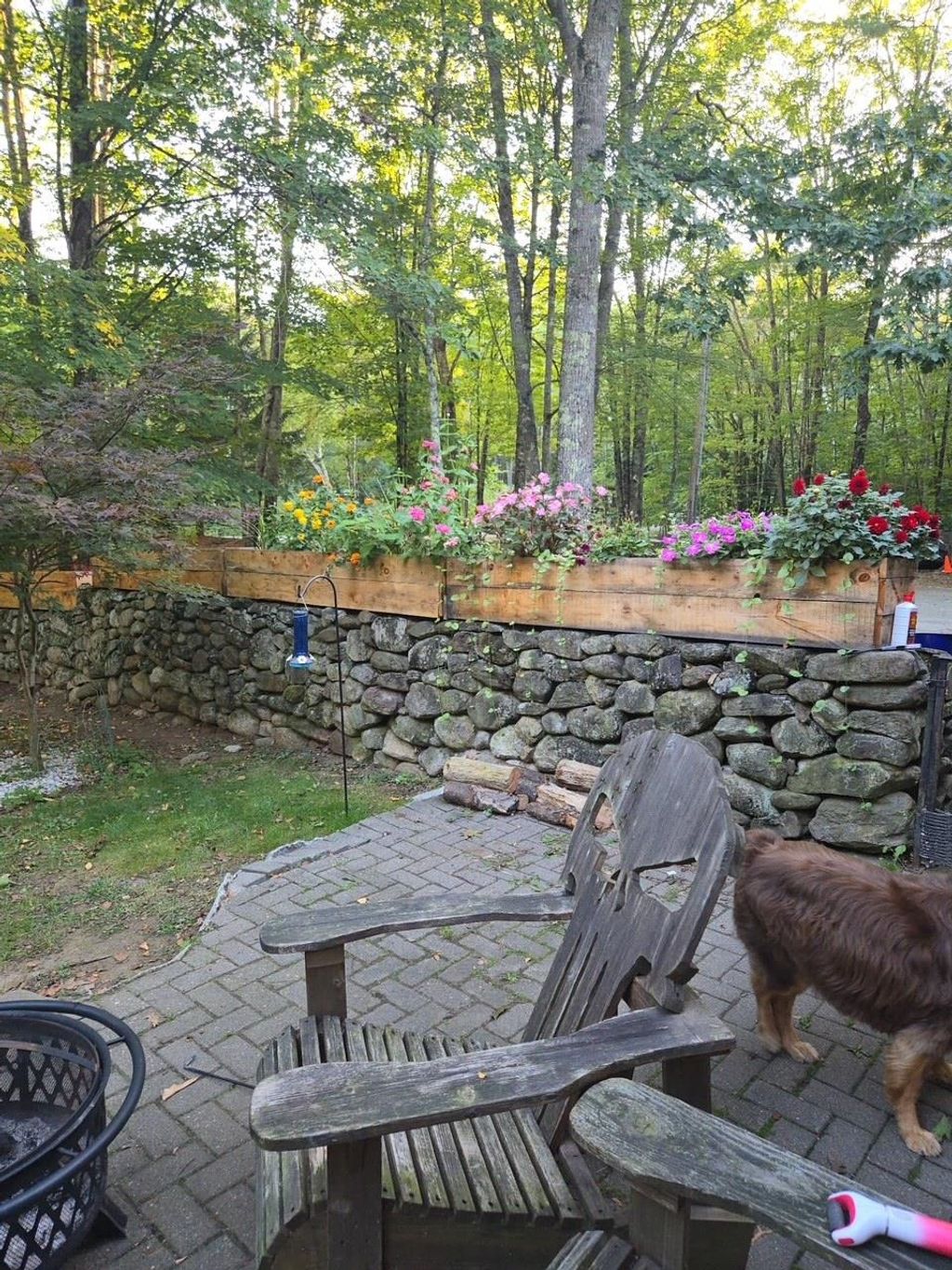 Photo of 15 Fredwood Drive, Chichester, NH 03258 (MLS # 5063171)