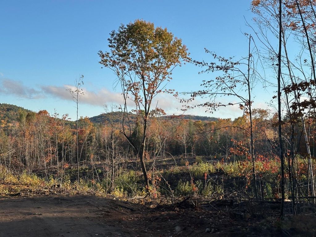 Photo of 00 Thurley Road, Ossipee, NH 03814 (MLS # 5071007)