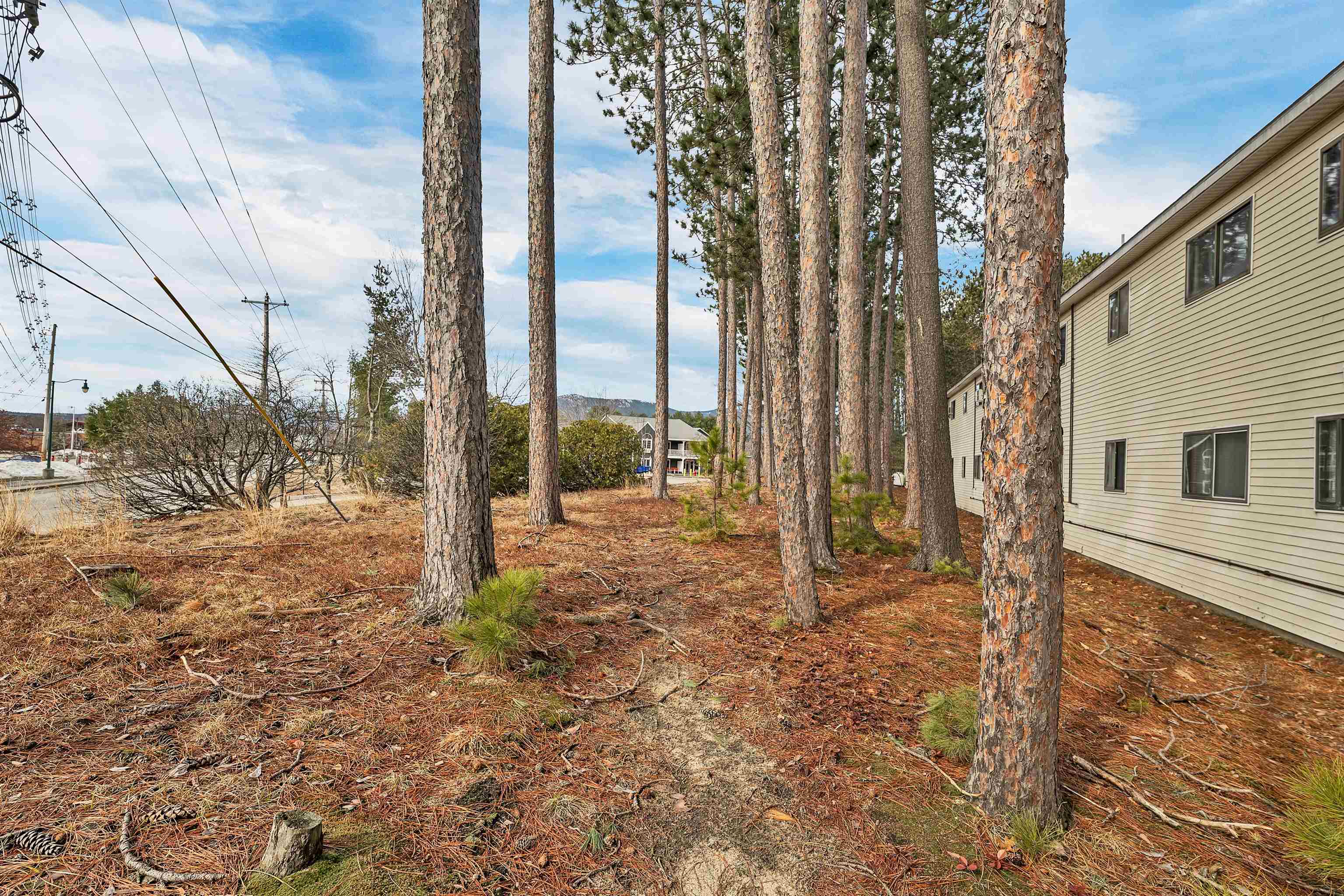 Conway, New Hampshire 03860, United States, 1 Bedroom Bedrooms, ,1 BathroomBathrooms,Residential,Active,149920