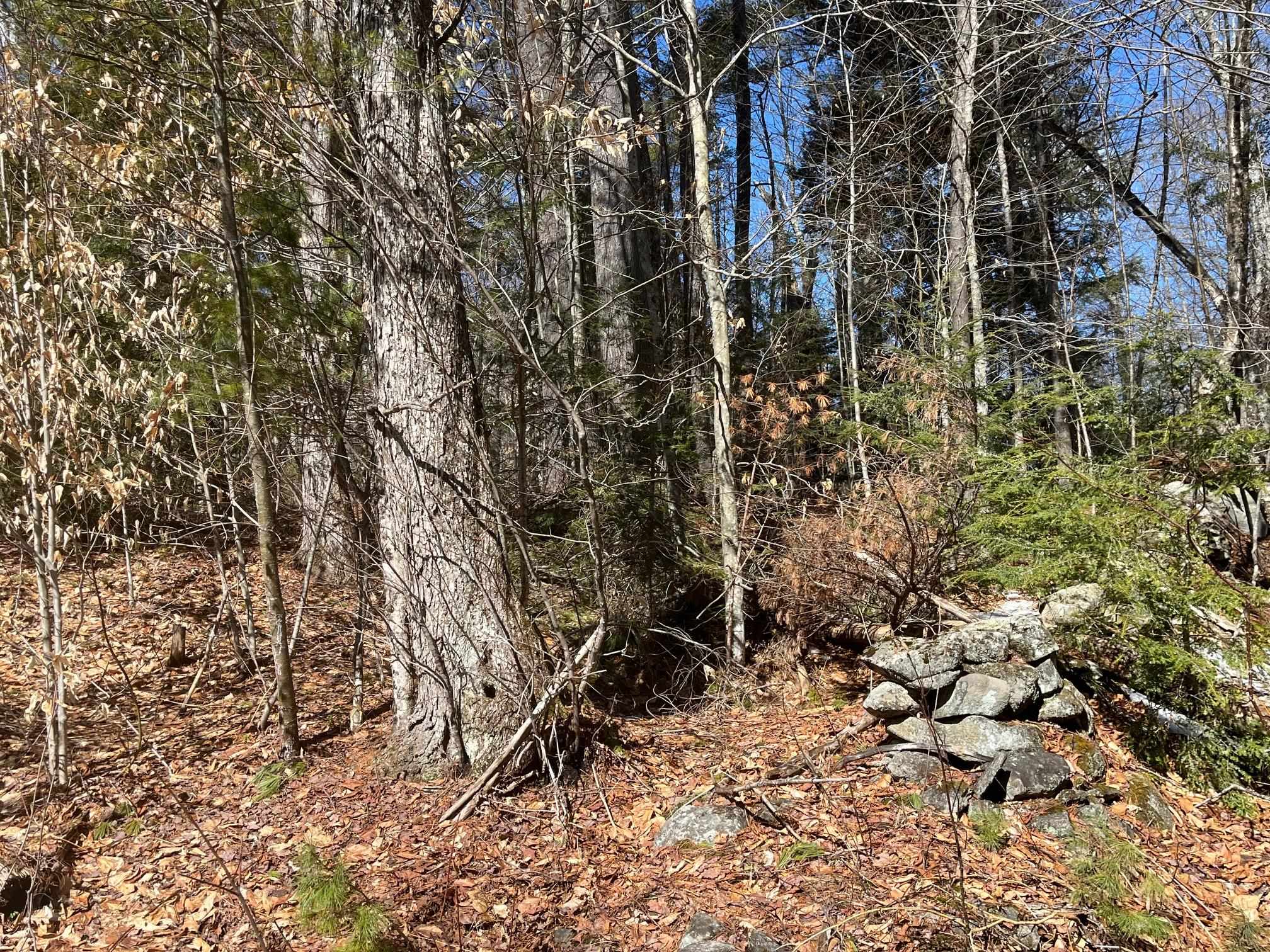 00 Pratt Bridge Road