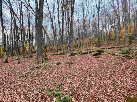 00 Alpendorf Avenue 88 Readsboro VT 05350