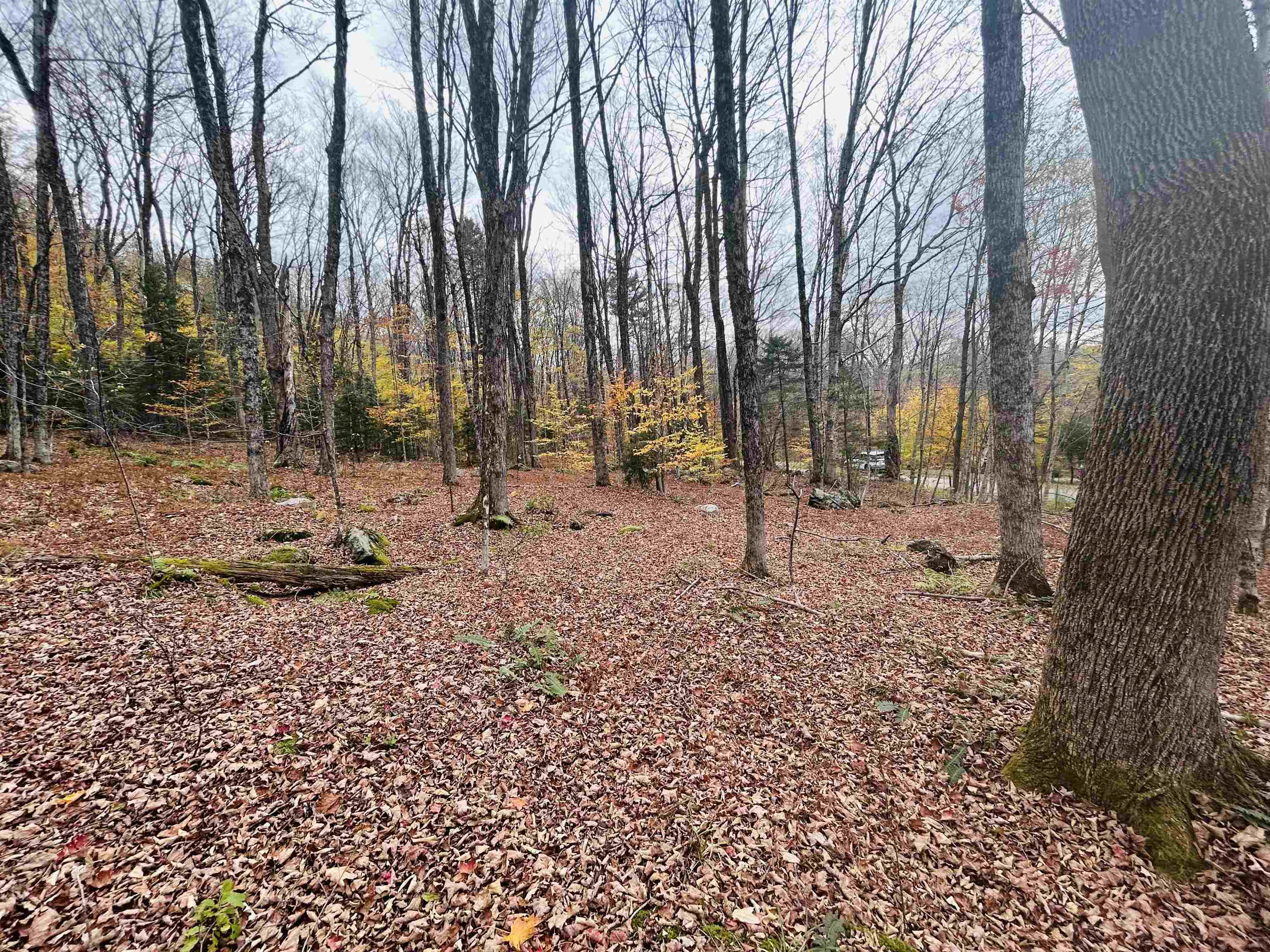 00 Alpendorf Avenue 88