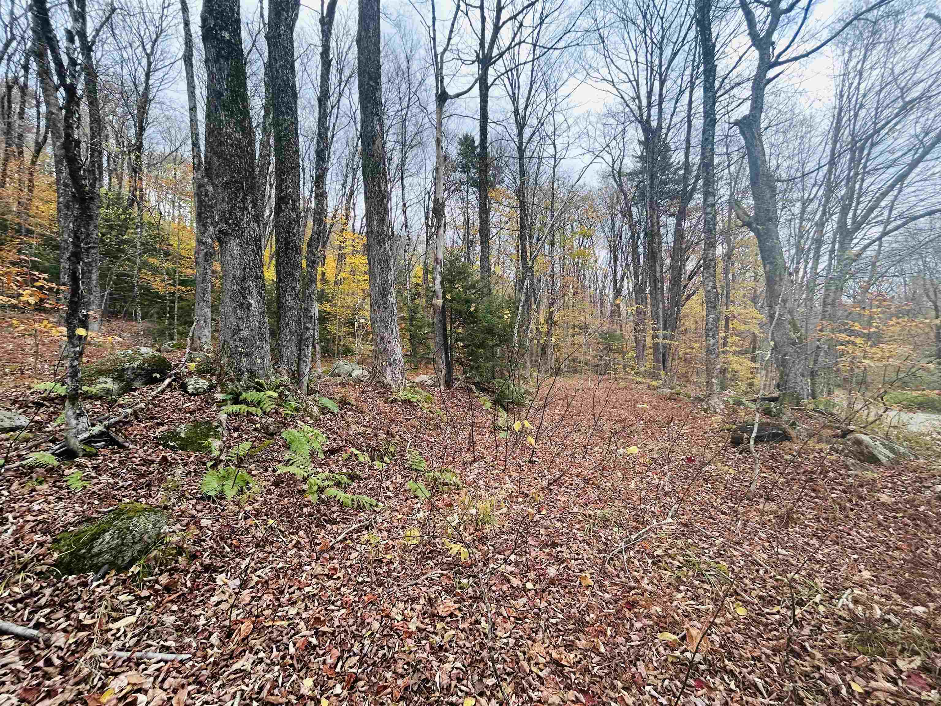 00 Alpendorf Avenue 88