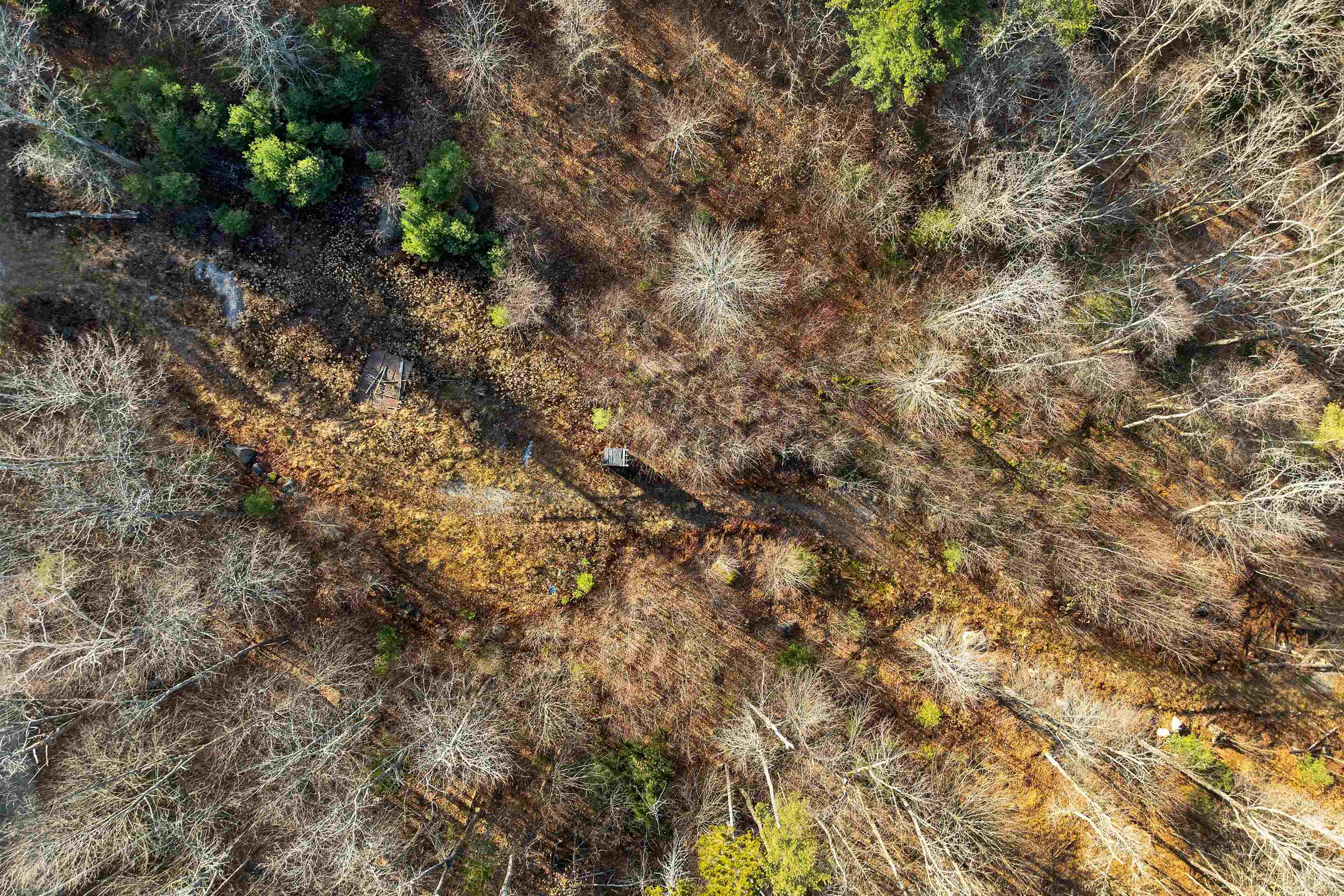 Stoddard, New Hampshire 03464, United States, ,Land,Active,248614