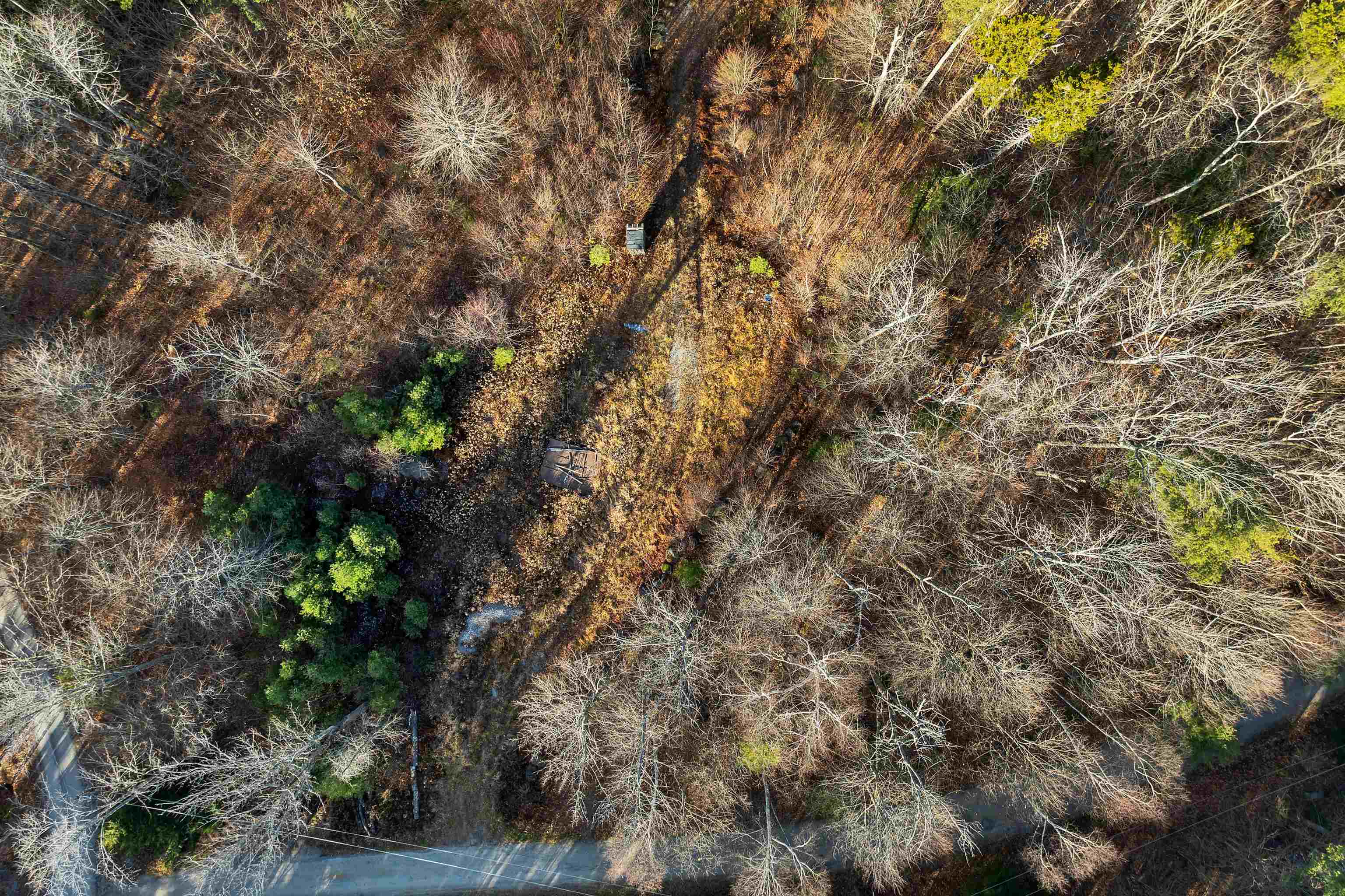 Stoddard, New Hampshire 03464, United States, ,Land,Active,248614