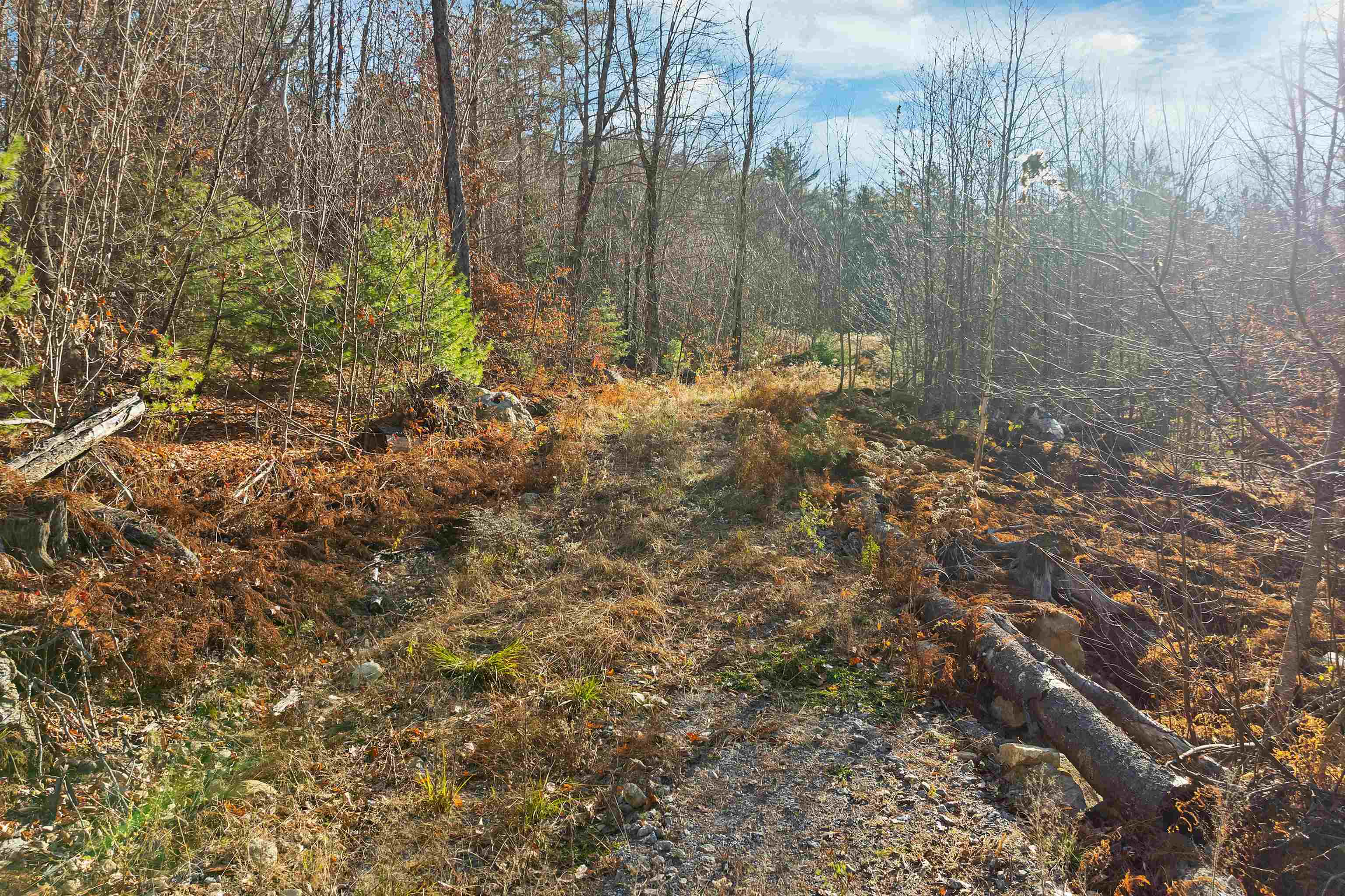 Stoddard, New Hampshire 03464, United States, ,Land,Active,248614