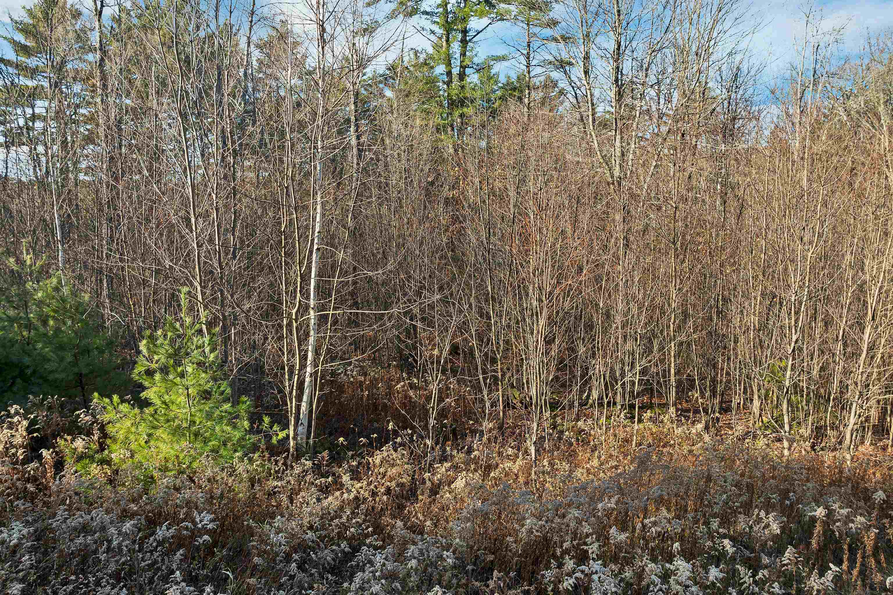 Stoddard, New Hampshire 03464, United States, ,Land,Active,248614