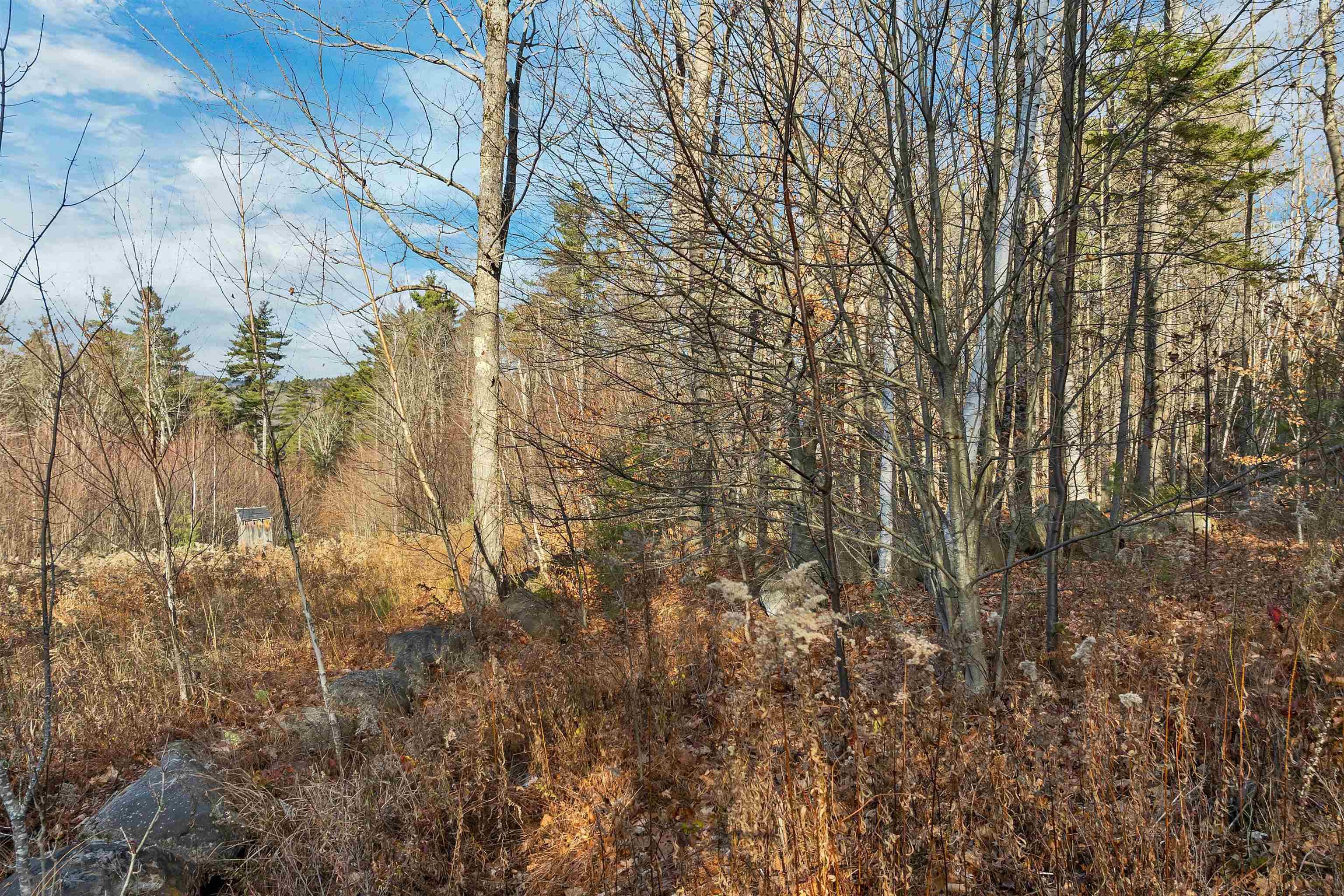 Stoddard, New Hampshire 03464, United States, ,Land,Active,248614