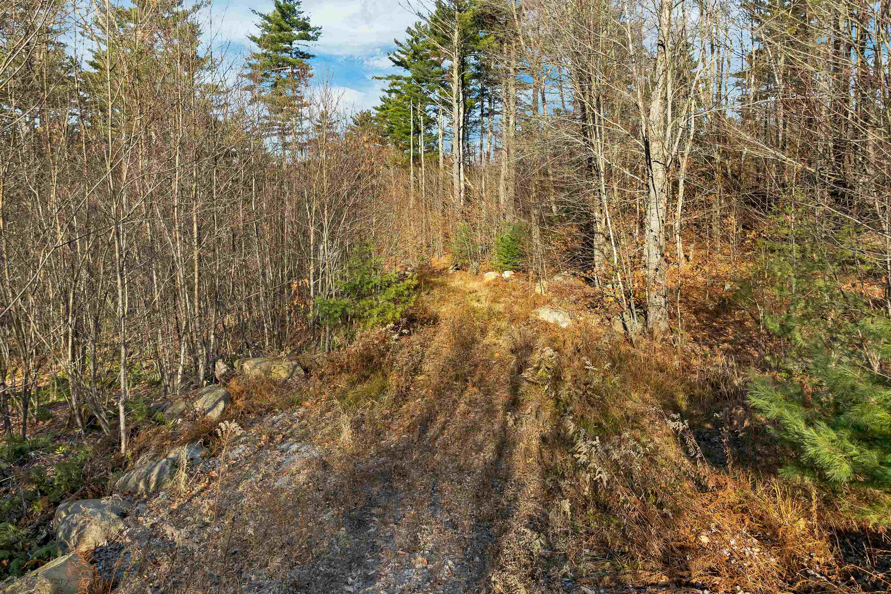 Stoddard, New Hampshire 03464, United States, ,Land,Active,248614