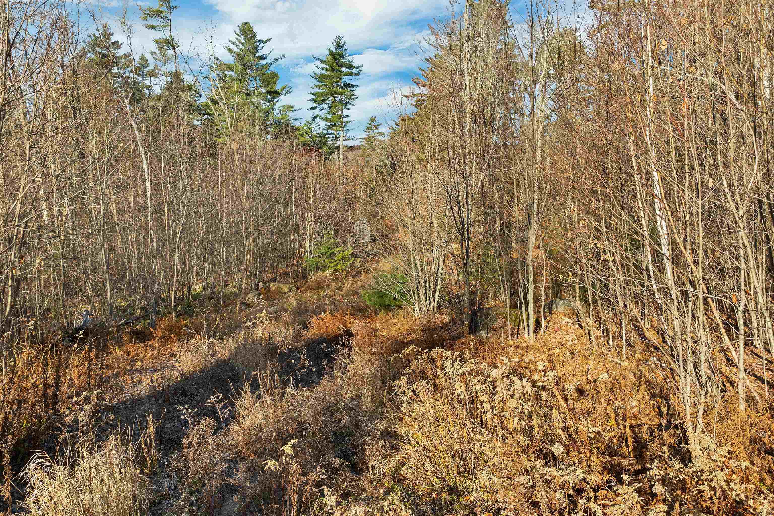 Stoddard, New Hampshire 03464, United States, ,Land,Active,248614