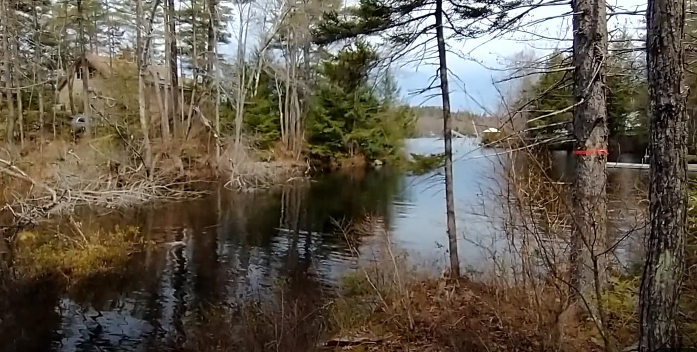 Stoddard, New Hampshire 03464, United States, ,Land,Active,248614