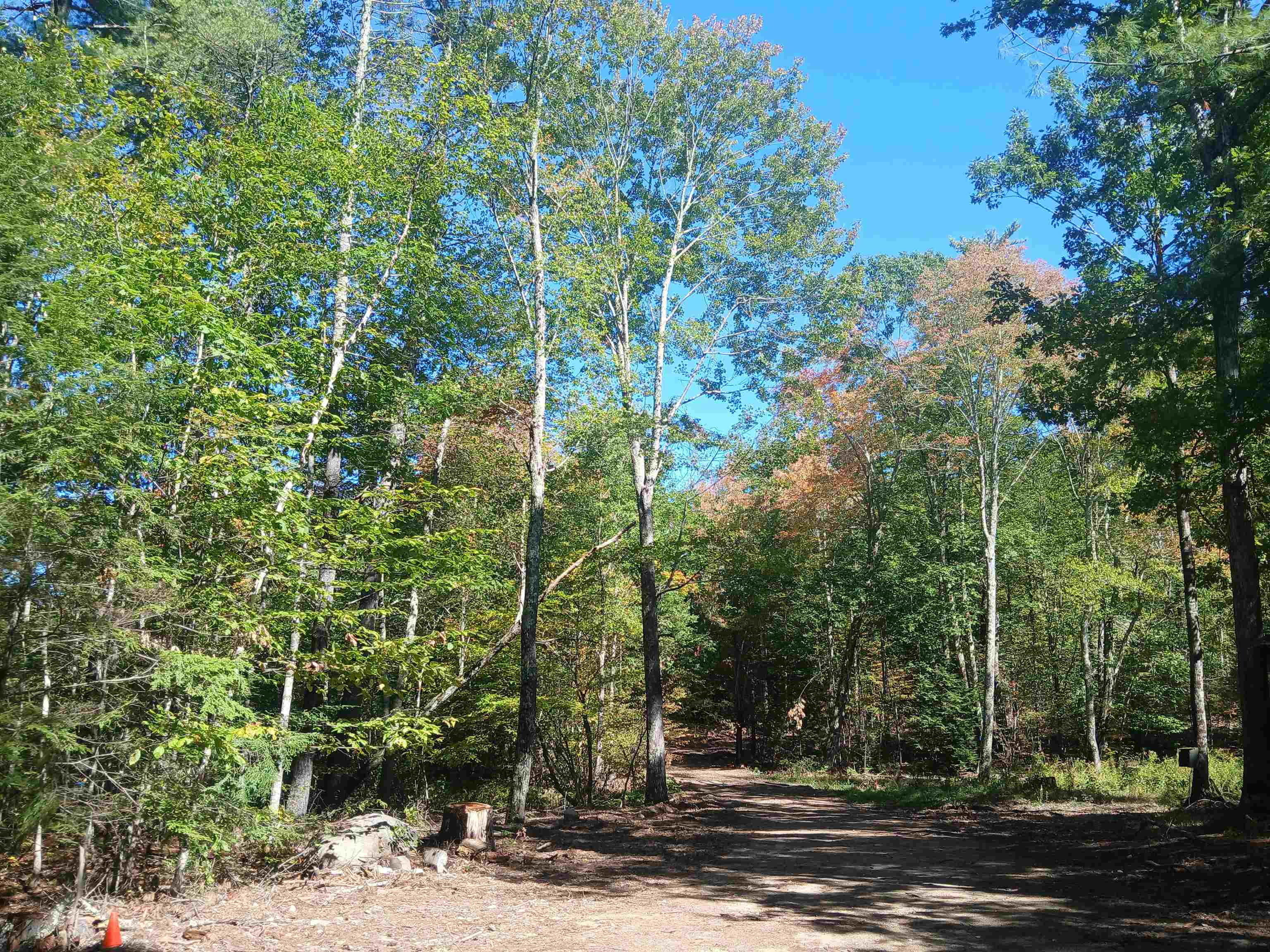 373 Calef Highway