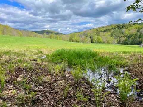 1503 Rush Meadow Road West Windsor VT 05037