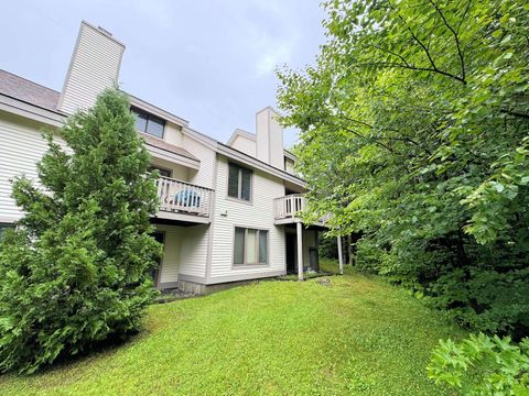 59 Sugar Brook Road D1 Peru VT 05152