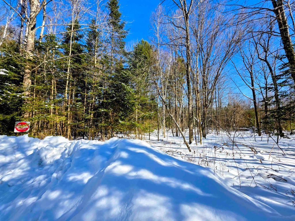 Photo of 000 Milford Circle #029 &amp; 030, Haverhill, NH 03785 (MLS # 5077142)