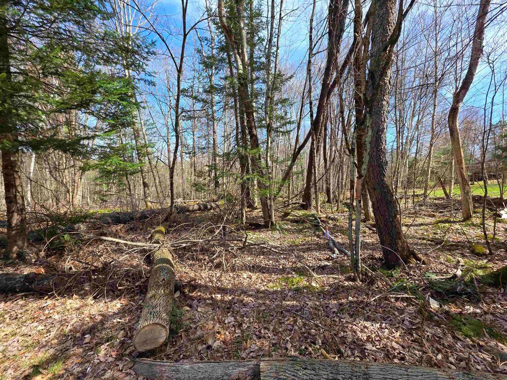 Photo of 000 Milford Circle #029 &amp; 030, Haverhill, NH 03785 (MLS # 5077142)