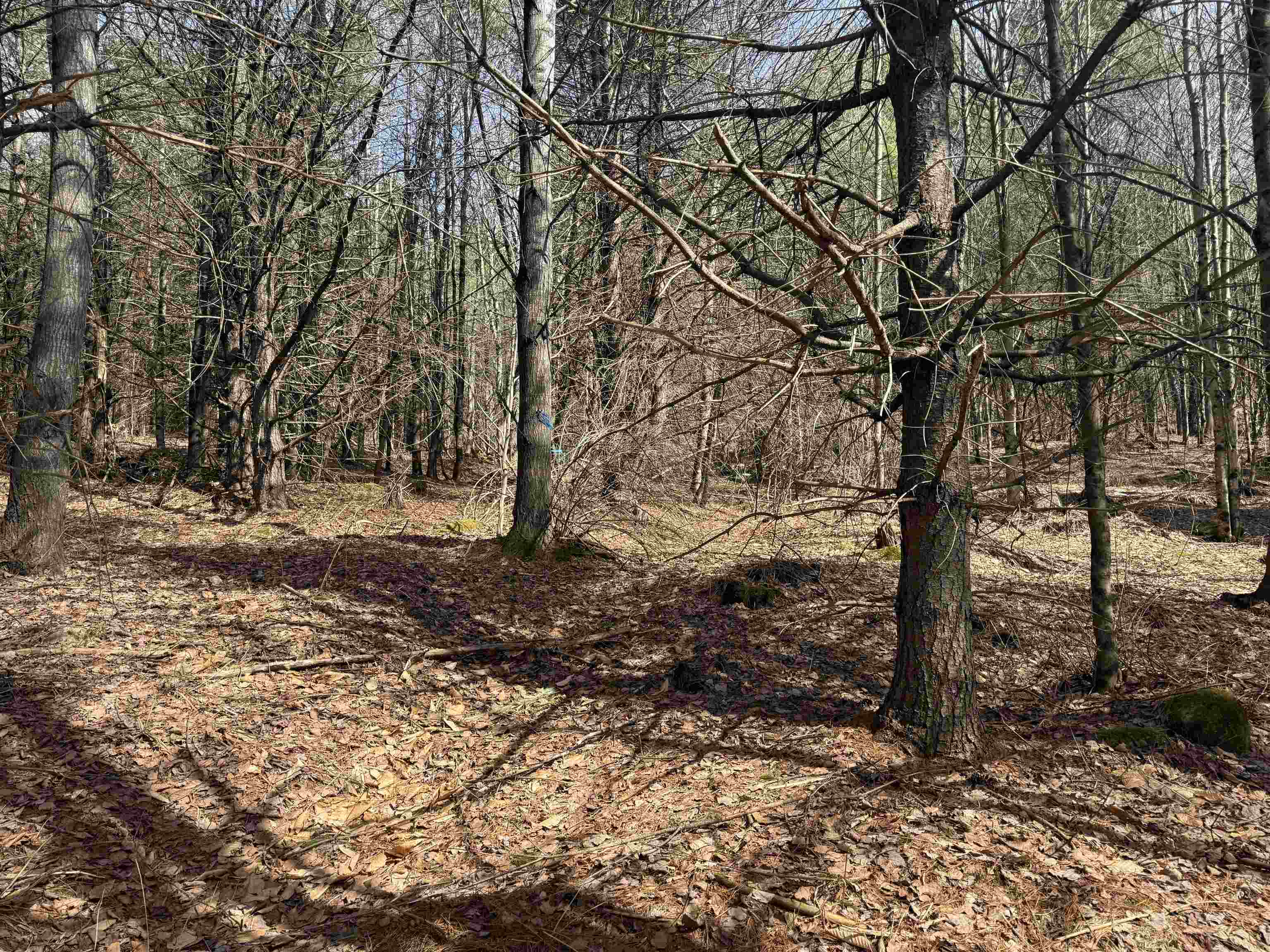 0 Green Mountain Turnpike