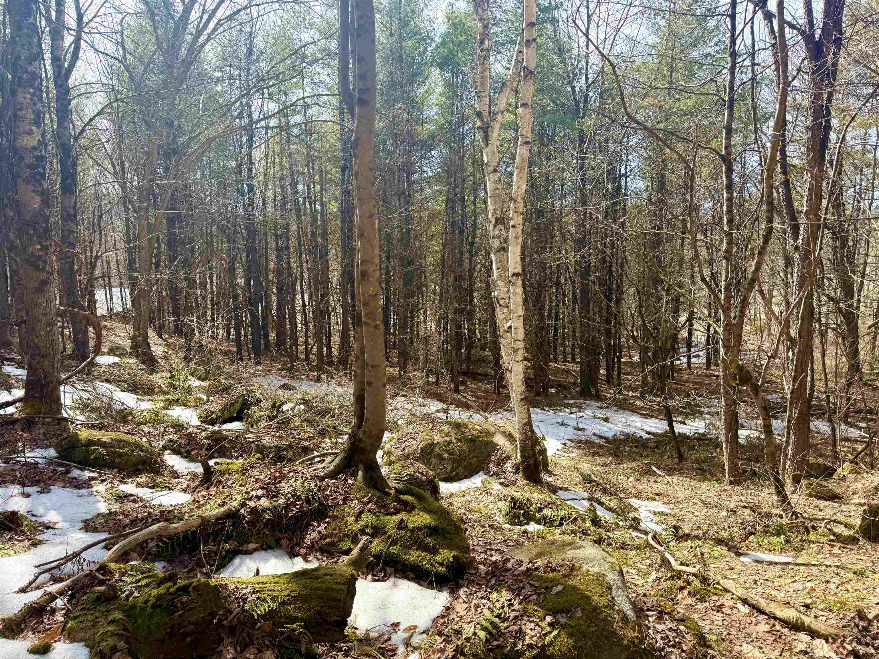 0 Green Mountain Turnpike