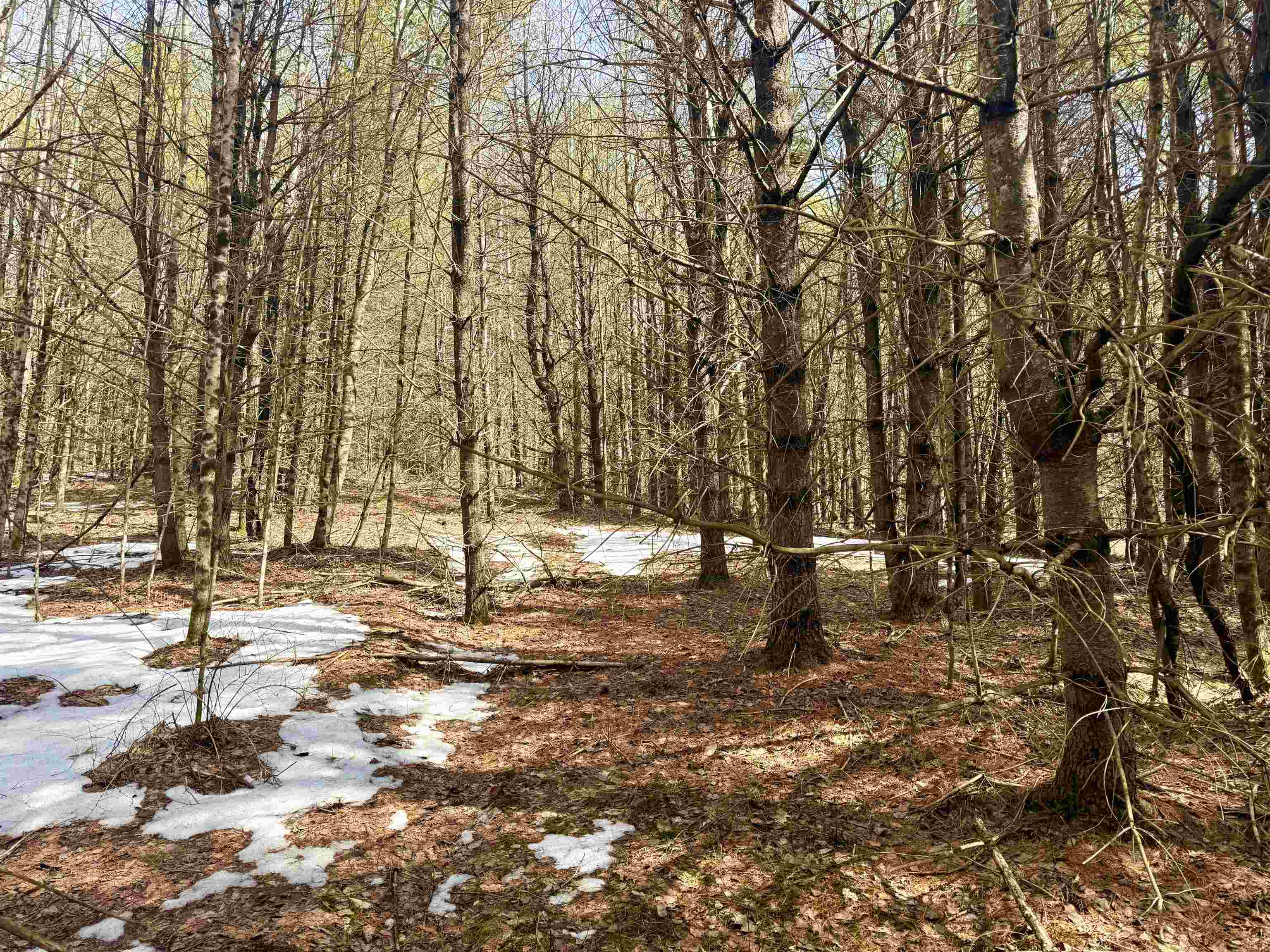 0 Green Mountain Turnpike