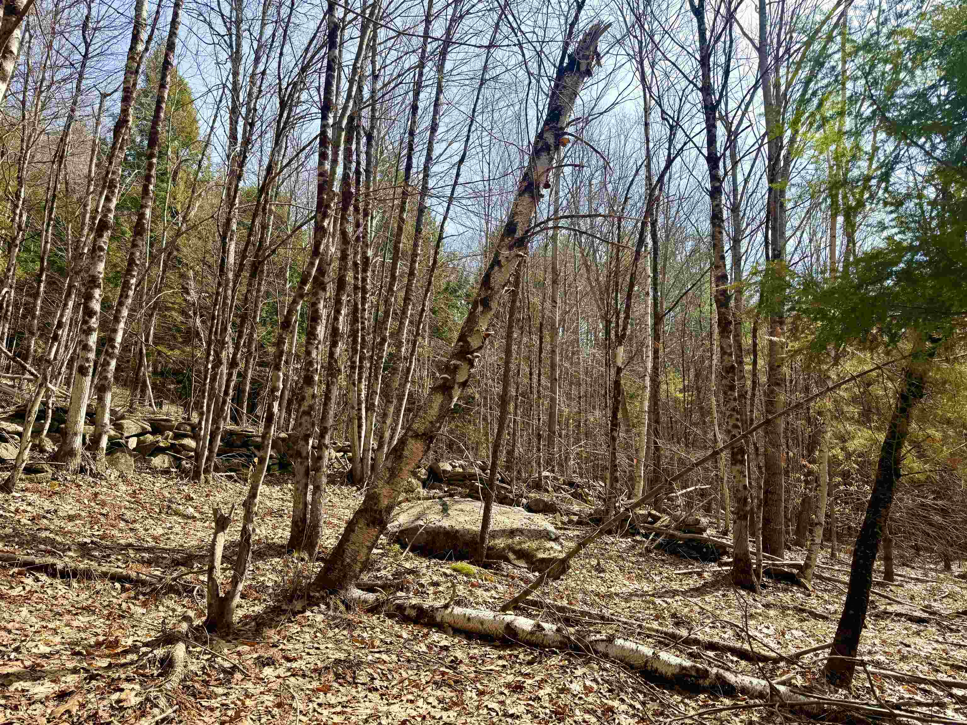 0 Green Mountain Turnpike