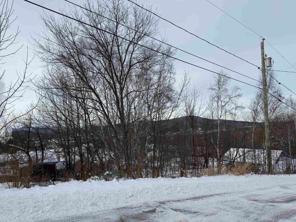 Photo of 646 Trudel Street, Berlin, NH 03570 (MLS # 5059025)