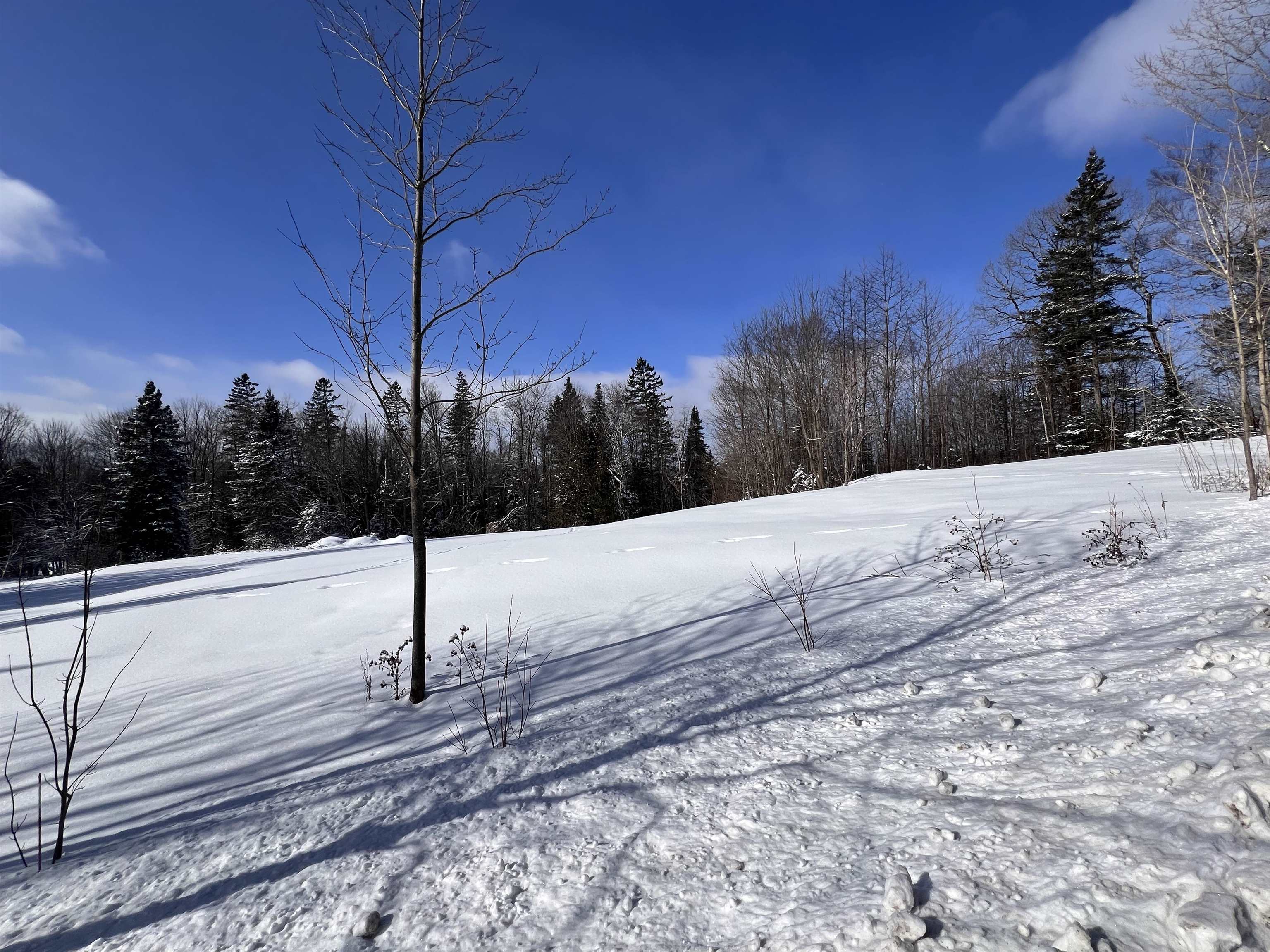 278 Mosher Road