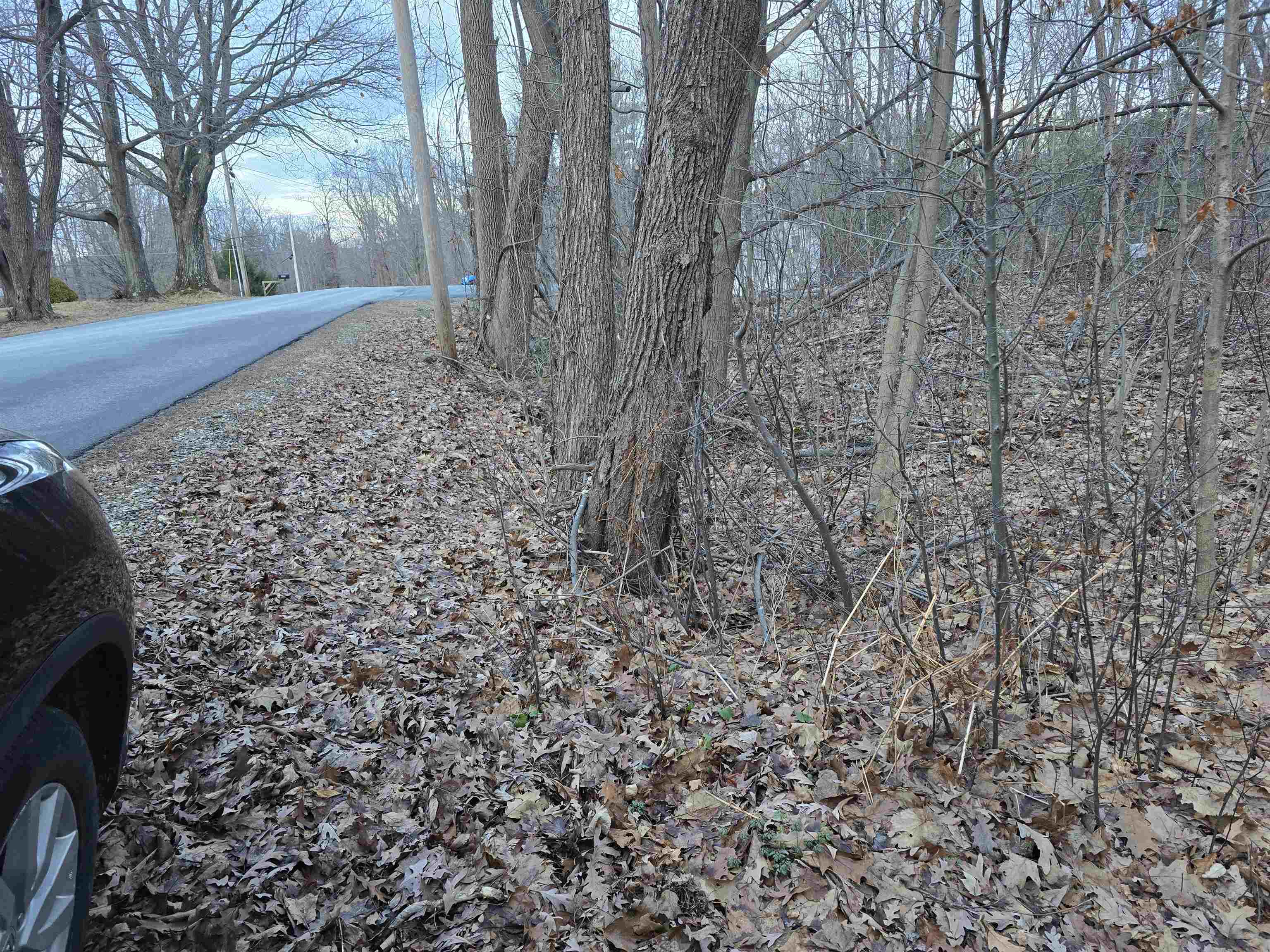 161 Pine Ridge Drive