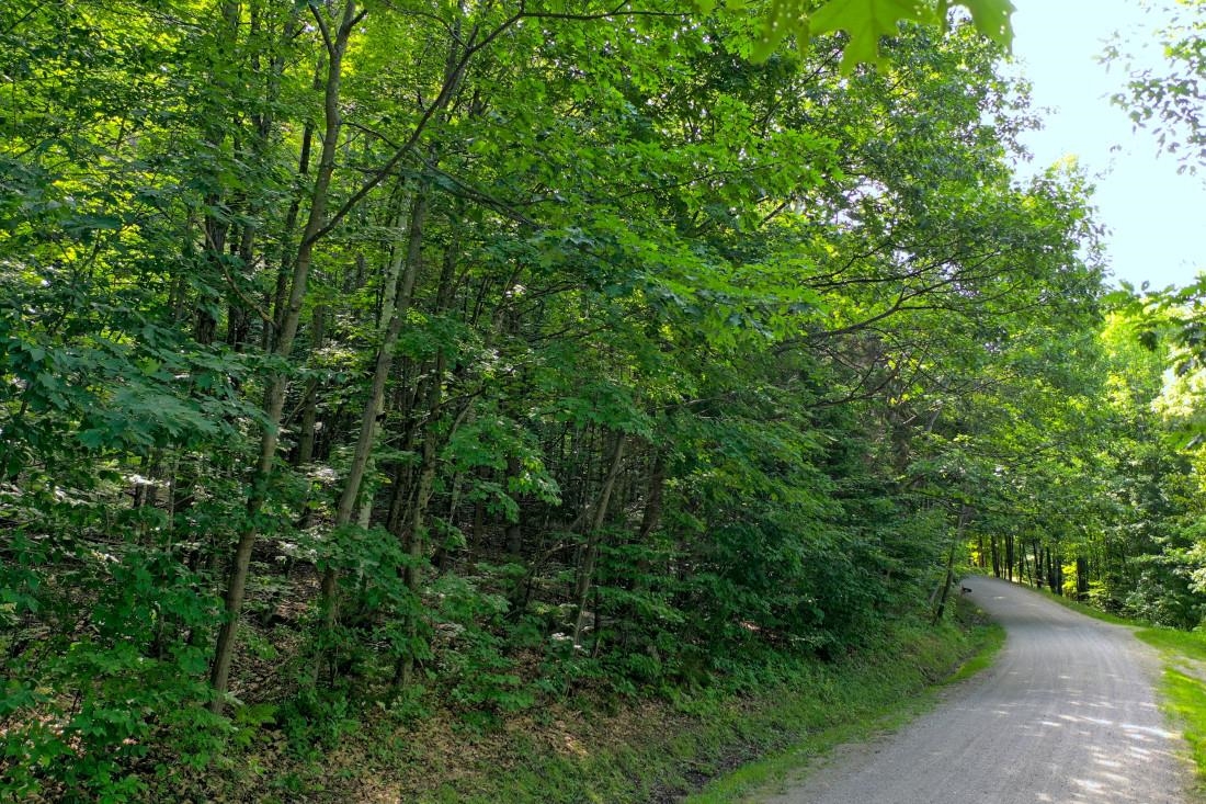 223 Falcon Loop Road E T-76