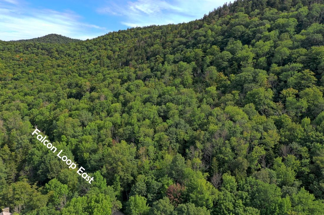 223 Falcon Loop Road E T-76